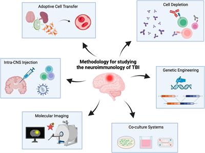 Elucidating the neuroimmunology of traumatic brain injury: methodological approaches to unravel intercellular communication and function